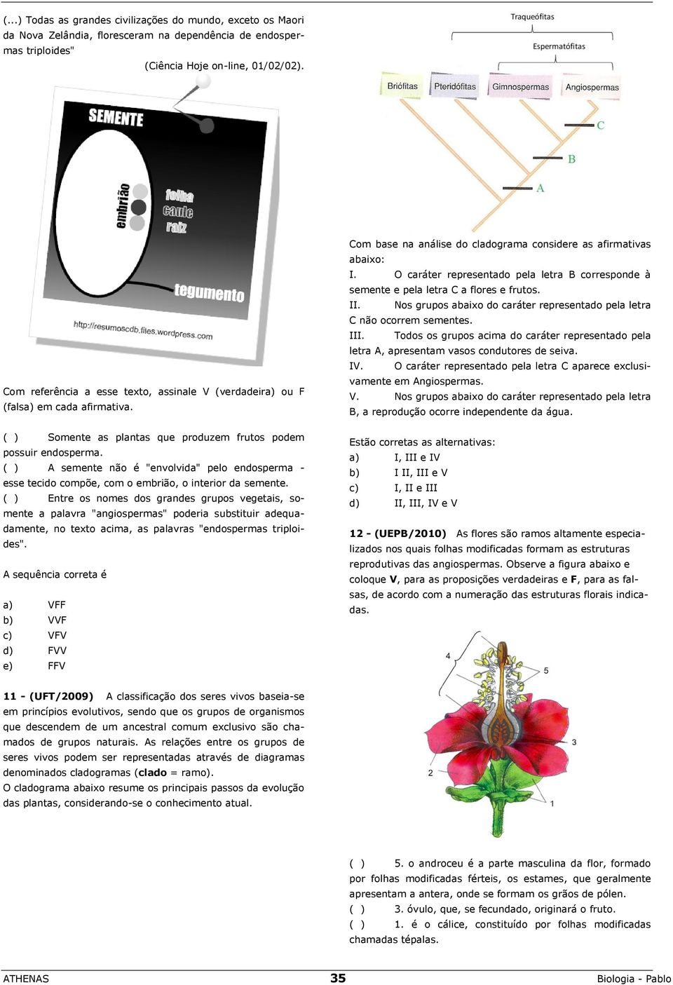 ( ) A semente não é "envolvida" pelo endosperma - esse tecido compõe, com o embrião, o interior da semente.