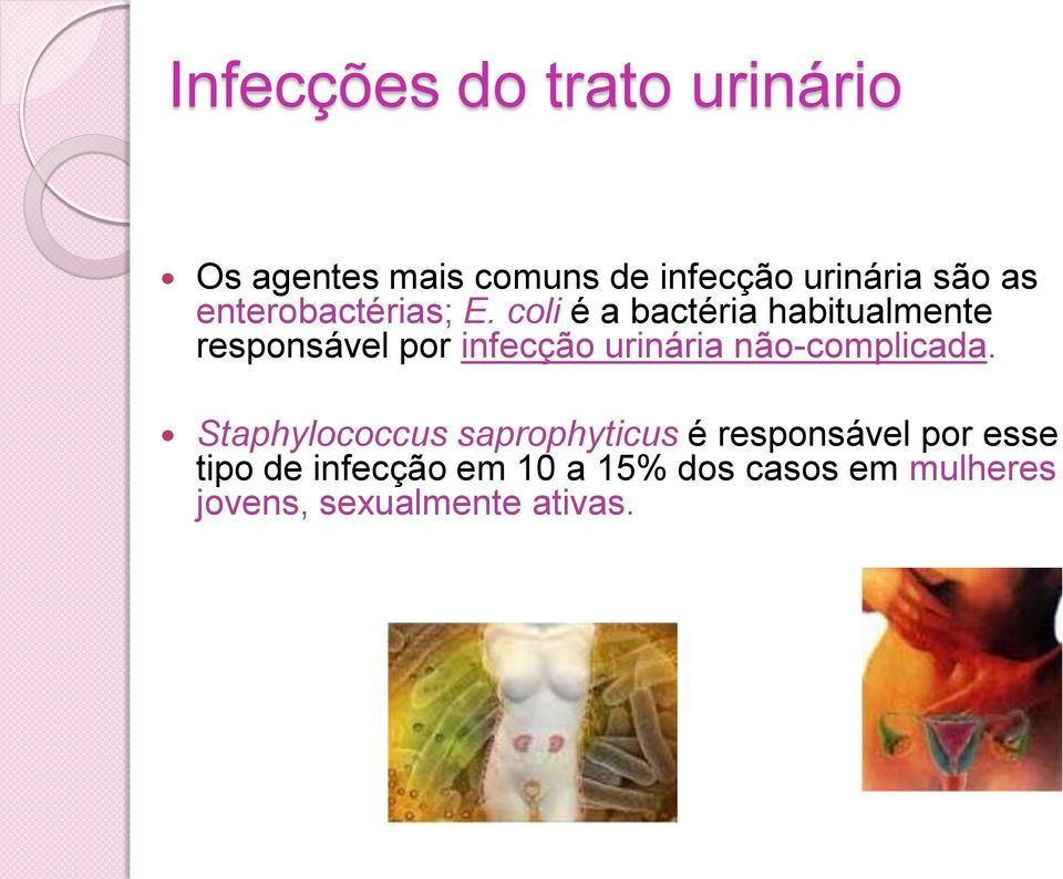 coli é a bactéria habitualmente responsável por infecção urinária