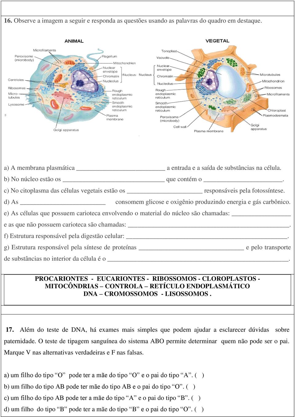 e) As células que possuem carioteca envolvendo o material do núcleo são chamadas: e as que não possuem carioteca são chamadas:. f) Estrutura responsável pela digestão celular:.