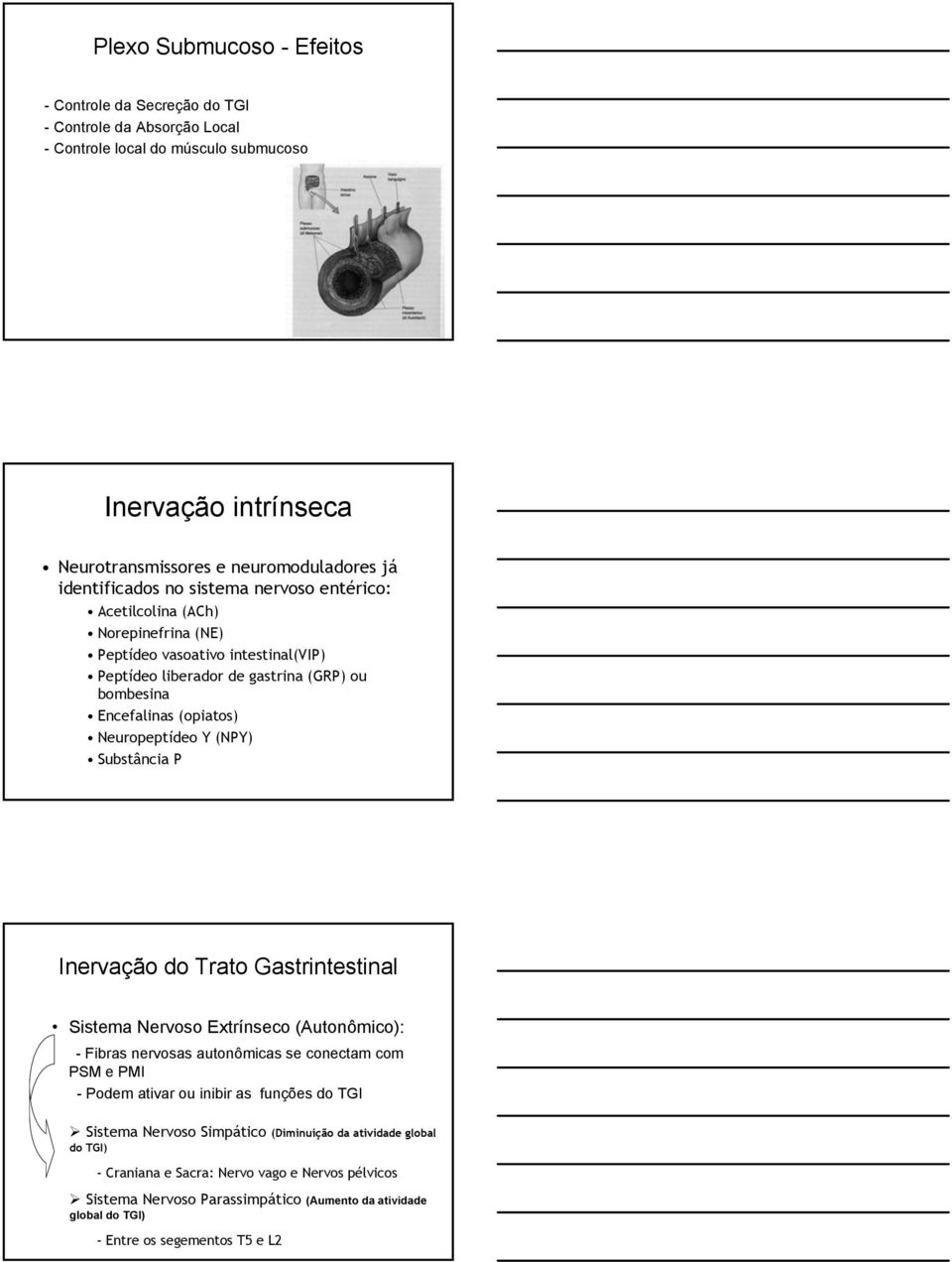 Substância P Inervação do Trato Gastrintestinal Sistema Nervoso Extrínseco (Autonômico): - Fibras nervosas autonômicas se conectam com PSM e PMI - Podem ativar ou inibir as funções do TGI Sistema