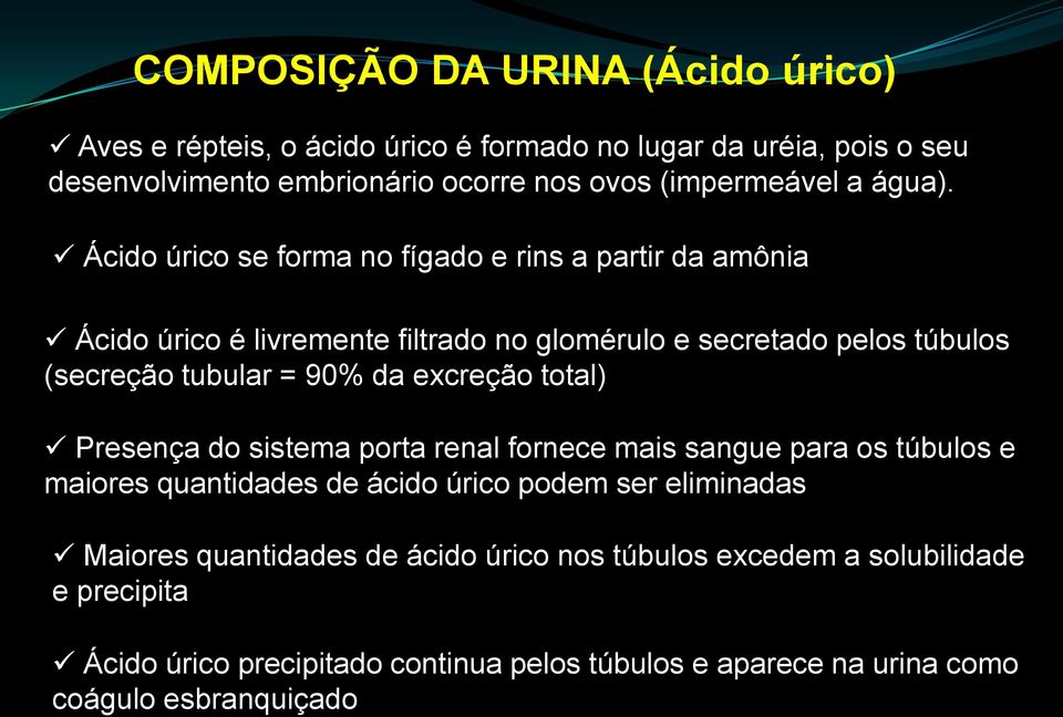 Ácido úrico se forma no fígado e rins a partir da amônia Ácido úrico é livremente filtrado no glomérulo e secretado pelos túbulos (secreção tubular = 90% da