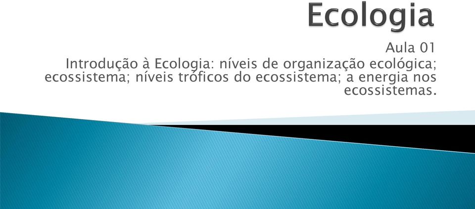 ecossistema; níveis tróficos do