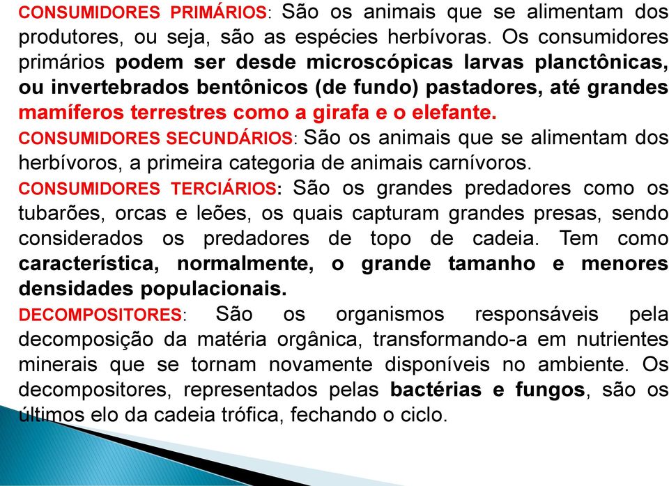 CONSUMIDORES SECUNDÁRIOS: São os animais que se alimentam dos herbívoros, a primeira categoria de animais carnívoros.