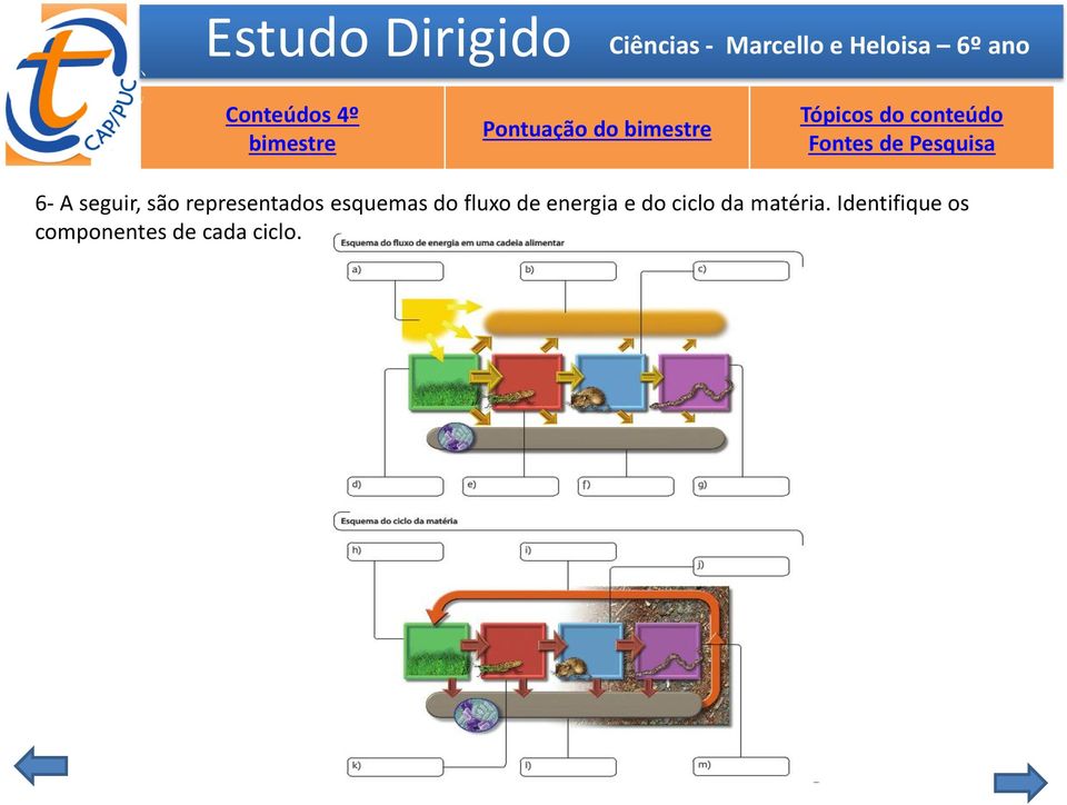 do ciclo da matéria.