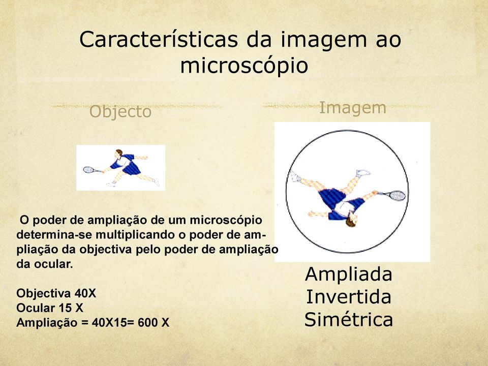 ampliação da objectiva pelo poder de ampliação da ocular.