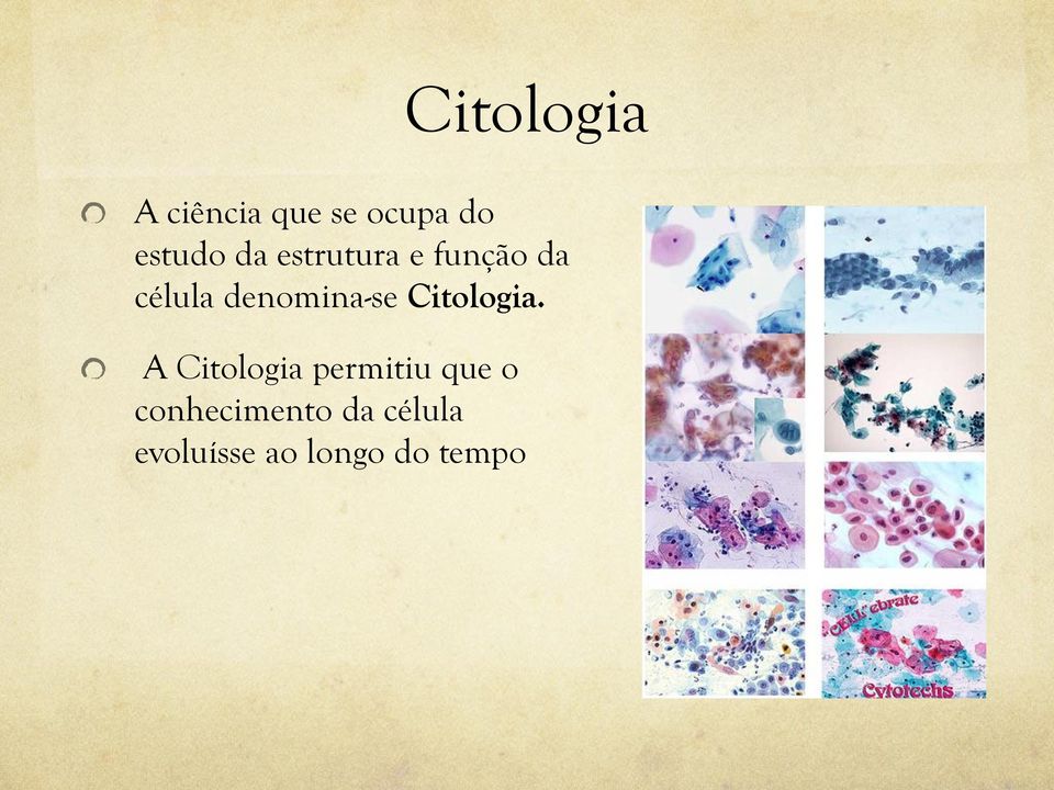 Citologia.