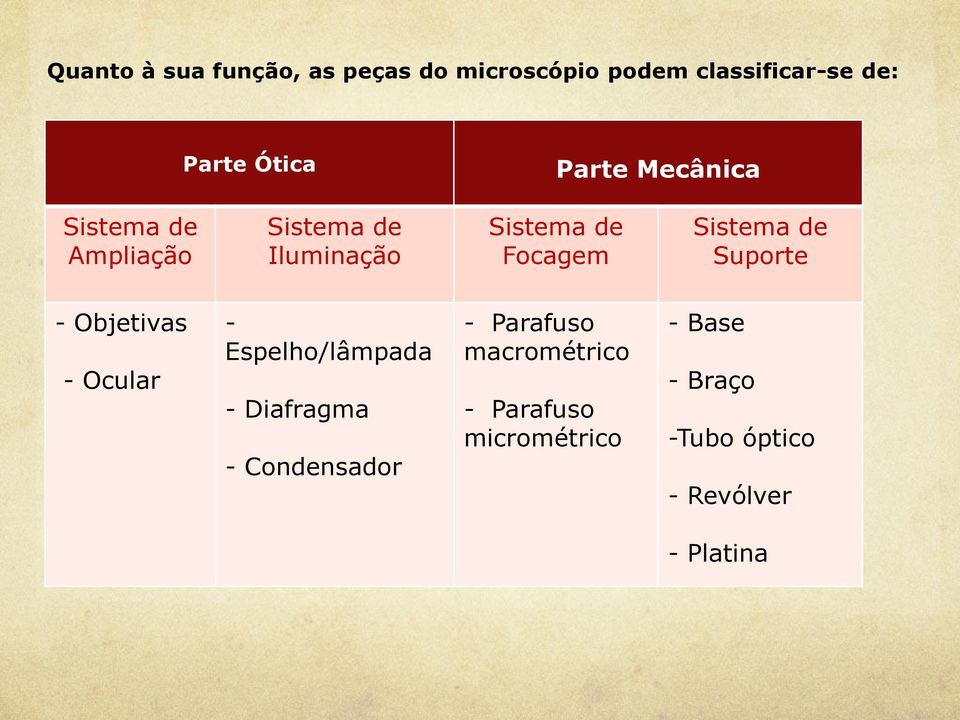 de Suporte - Objetivas - Ocular - Espelho/lâmpada - Diafragma - Condensador -