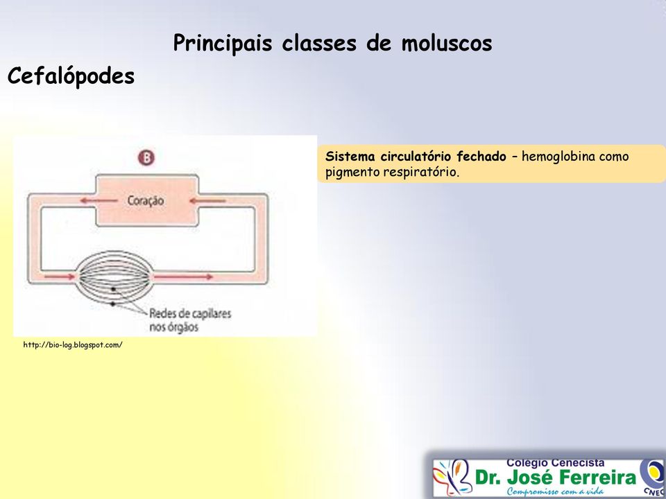 hemoglobina como pigmento