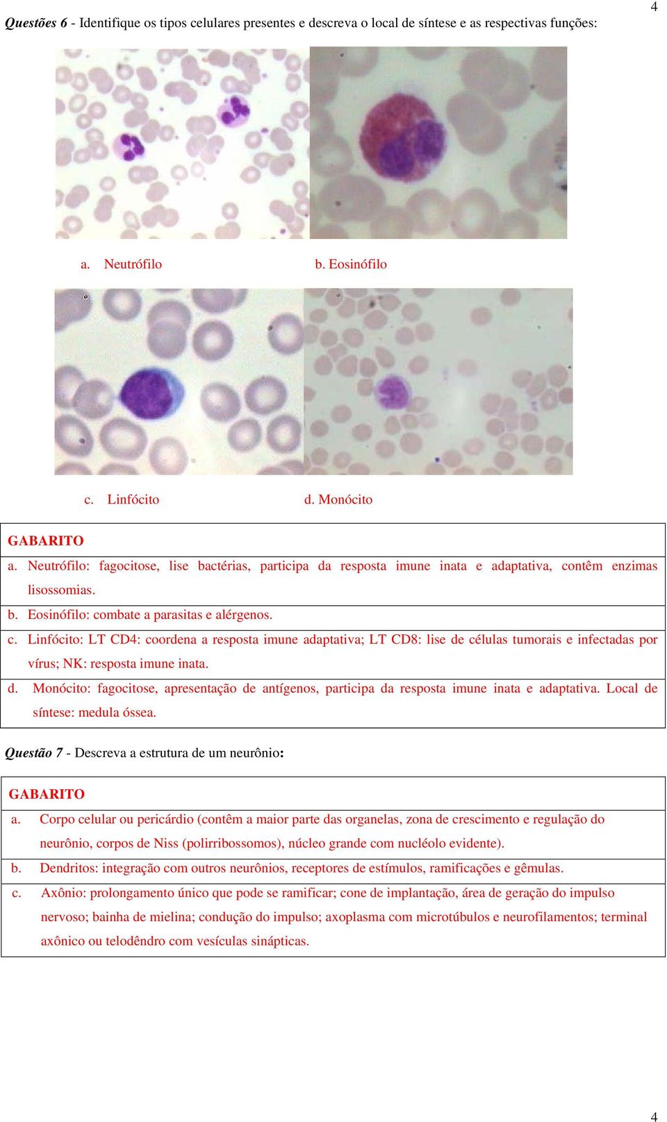 ntêm enzimas lisossomias. b. Eosinófilo: combate a parasitas e alérgenos. c. Linfócito: LT CD4: coordena a resposta imune adaptativa; LT CD8: lise de células tumorais e infectadas por vírus; NK: resposta imune inata.