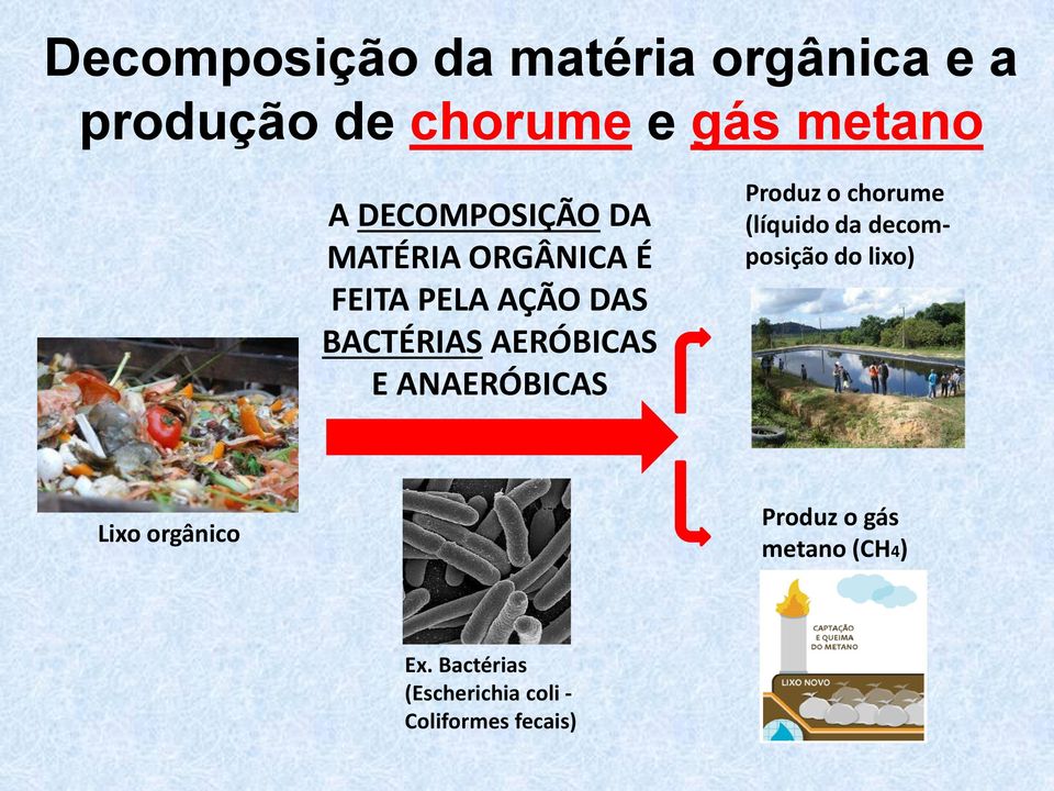 E ANAERÓBICAS Produz o chorume (líquido da decomposição do lixo) Lixo