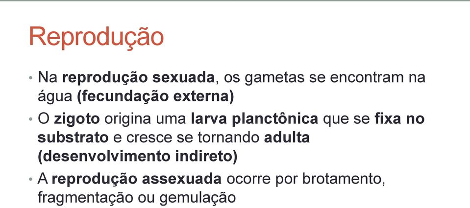 fixa no substrato e cresce se tornando adulta (desenvolvimento