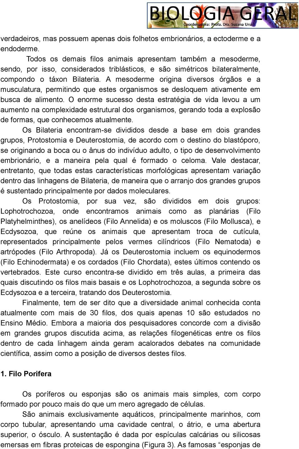 A mesoderme origina diversos órgãos e a musculatura, permitindo que estes organismos se desloquem ativamente em busca de alimento.