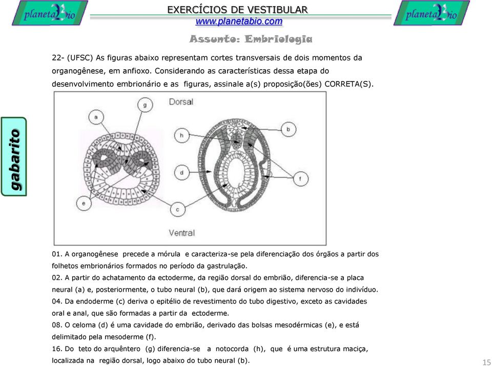 A organogênese precede a mórula e caracteriza-se pela diferenciação dos órgãos a partir dos folhetos embrionários formados no período da gastrulação. 02.