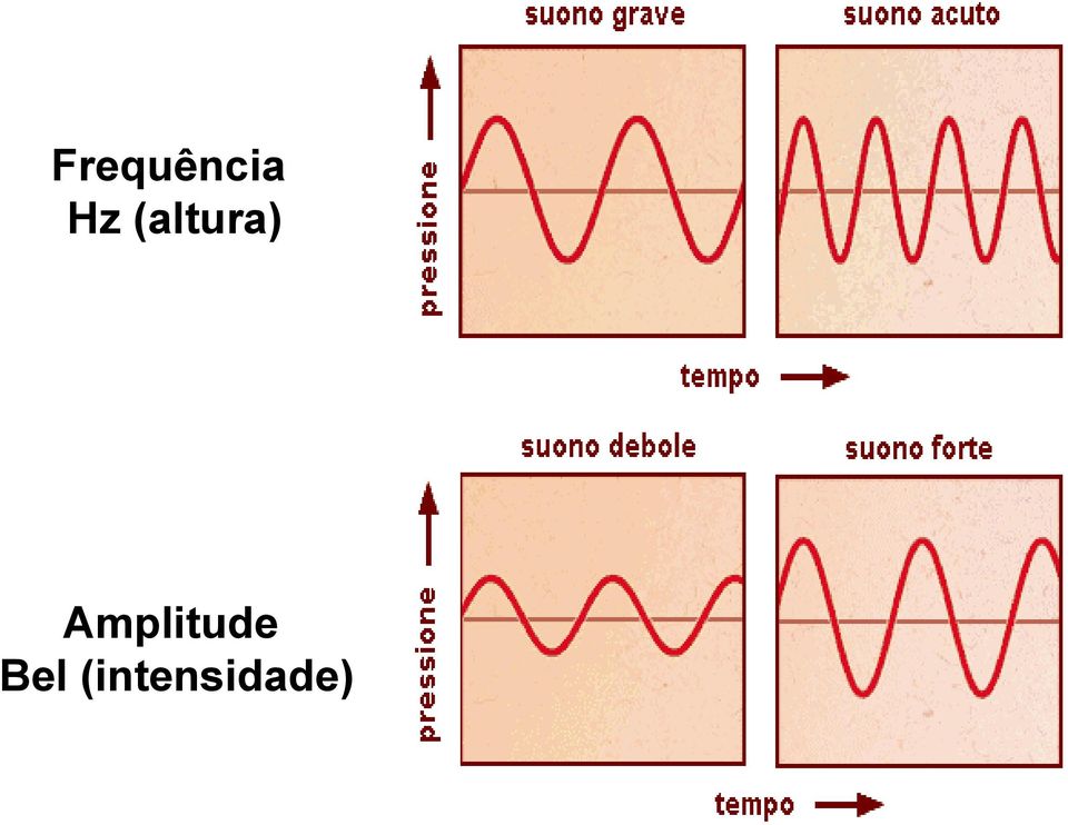 Amplitude