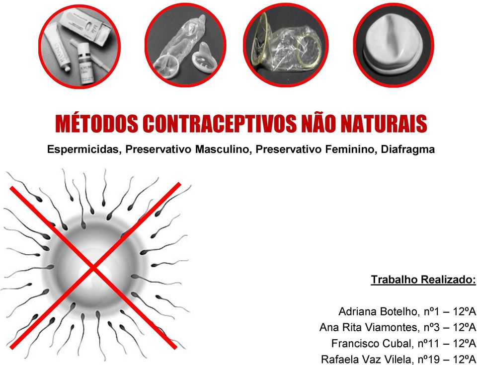 Trabalho Realizado: Adriana Botelho, nº1 12ºA Ana Rita