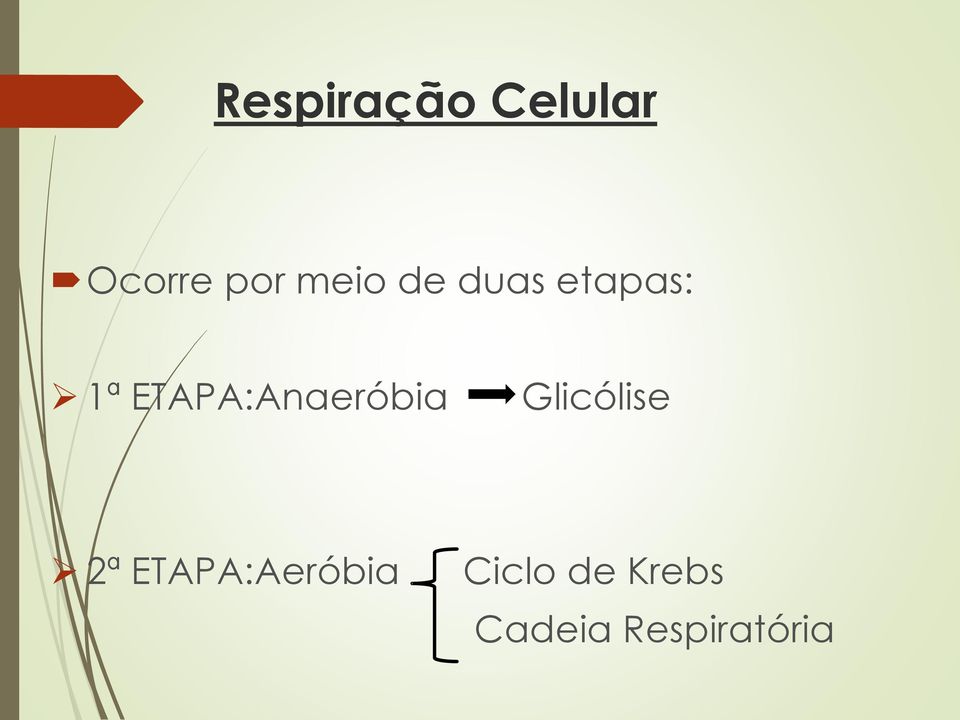 ETAPA:Anaeróbia Glicólise 2ª