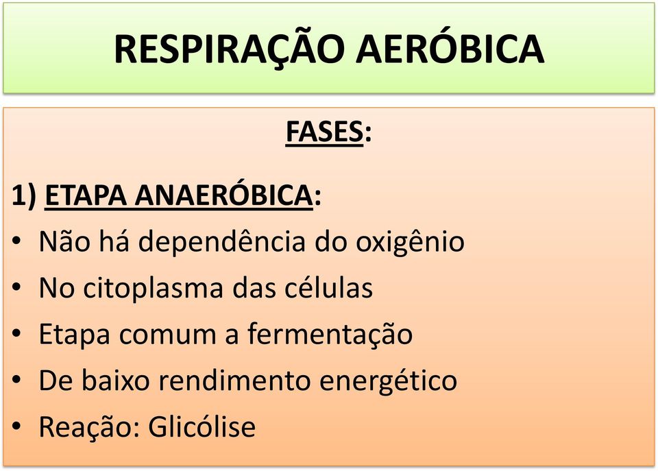 No citoplasma das células Etapa comum a