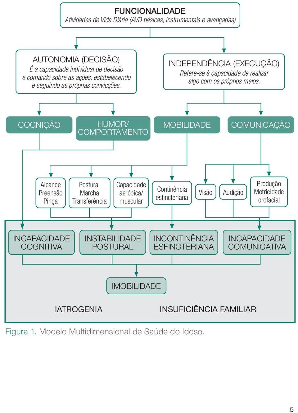 COGNIÇÃO HUMOR/ COMPORTAMENTO MOBILIDADE COMUNICAÇÃO Alcance Preensão Pinça Postura Marcha Transferência Capacidade aeróbica/ muscular Continência esfincteriana Visão Audição