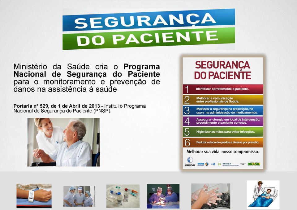 assistência à saúde Portaria nº 529, de 1 de Abril de 2013