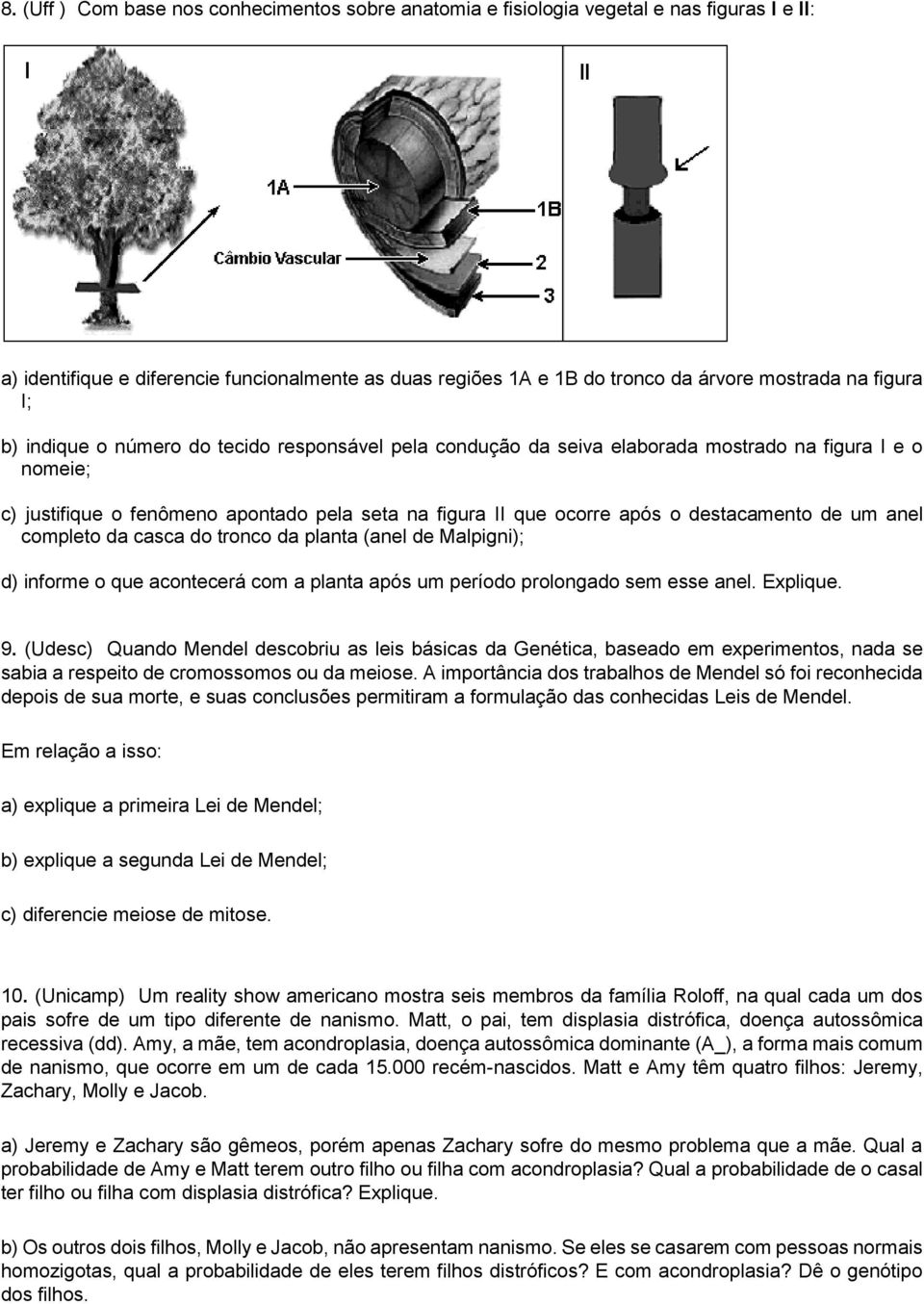 destacamento de um anel completo da casca do tronco da planta (anel de Malpigni); d) informe o que acontecerá com a planta após um período prolongado sem esse anel. Explique. 9.