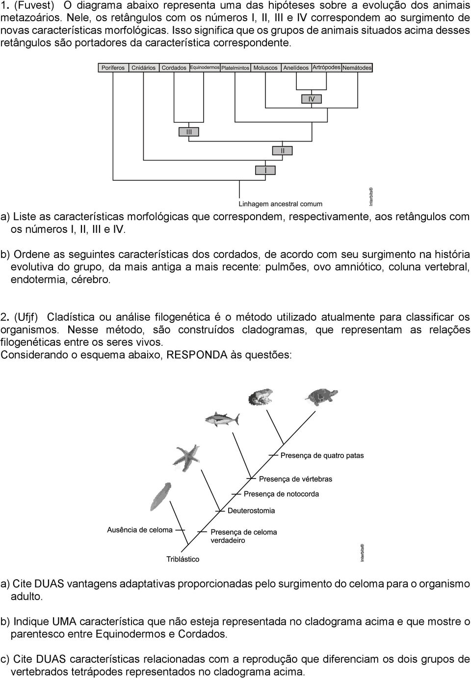 Isso significa que os grupos de animais situados acima desses retângulos são portadores da característica correspondente.