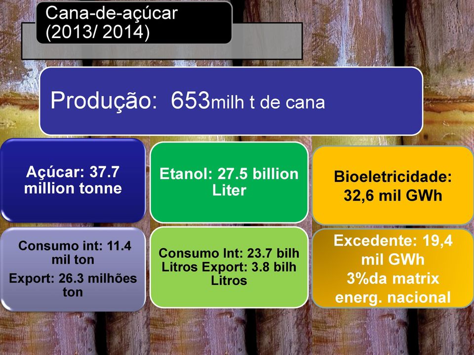 5 billion Liter Bioeletricidade: 32,6 mil GWh Consumo int: 11.