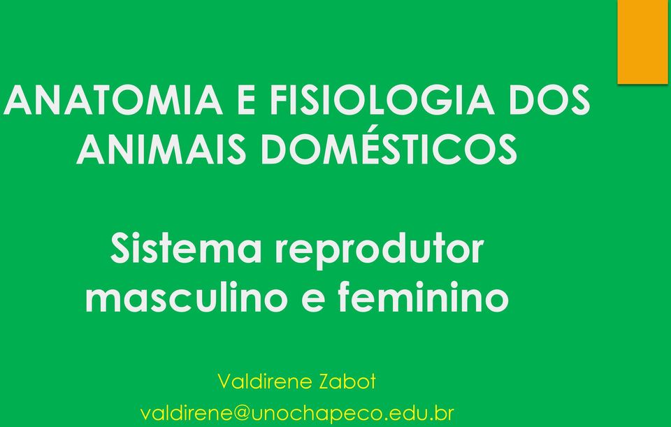 reprodutor masculino e feminino