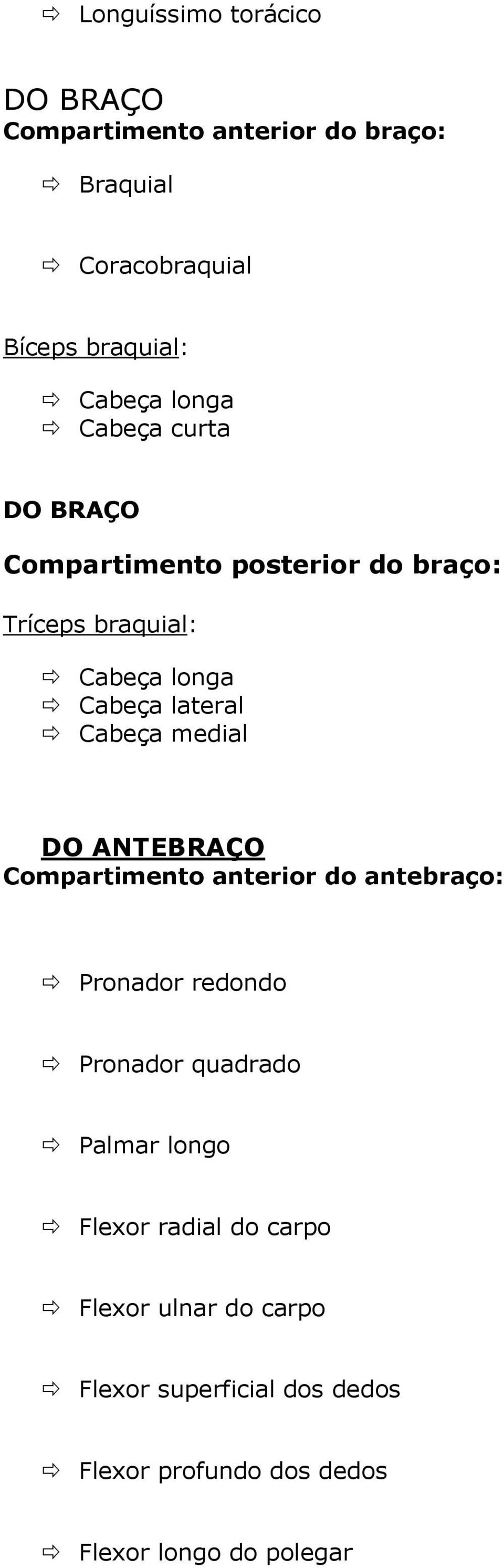 Cabeça medial DO ANTEBRAÇO Compartimento anterior do antebraço: Pronador redondo Pronador quadrado Palmar longo