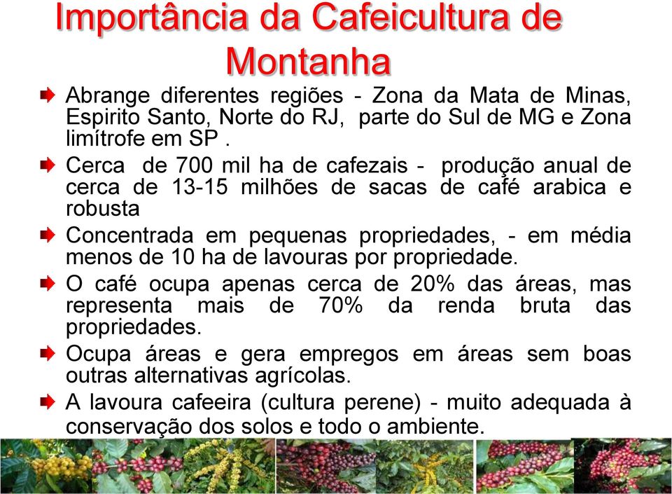 média menos de 10 ha de lavouras por propriedade. O café ocupa apenas cerca de 20% das áreas, mas representa mais de 70% da renda bruta das propriedades.