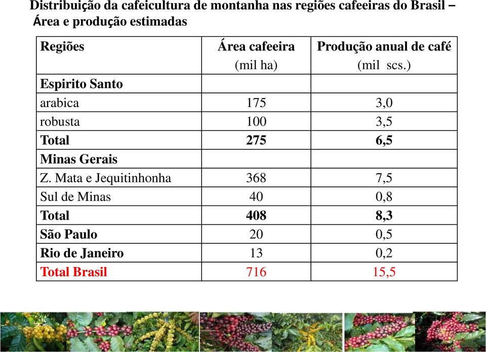 ) Espirito Santo arabica 175 3,0 robusta 100 3,5 Total 275 6,5 Minas Gerais Z.