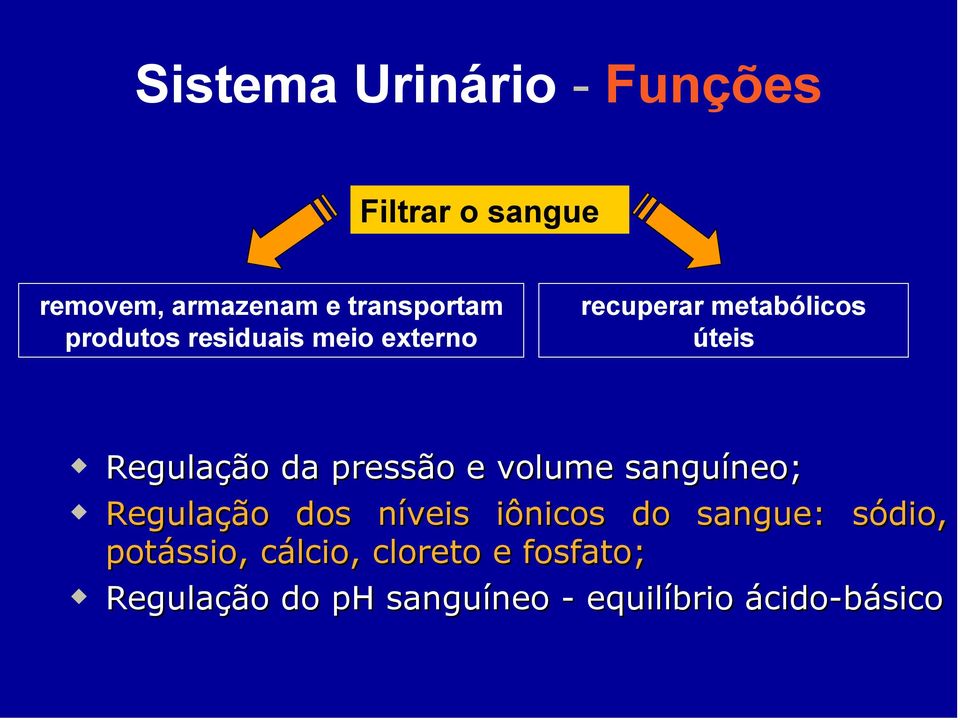 pressão e volume sanguíneo; Regulação dos níveis iônicos do sangue: sódio,