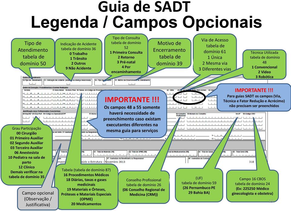 Utilizada tabela de domínio 48 1 Convencional 2 Video 3 Robótica Grau Participação 00 Cirurgião 01 Primeiro Auxiliar 02 Segundo Auxiliar 03 Terceiro Auxiliar 06 Anestesista 10 Pediatra na sala de