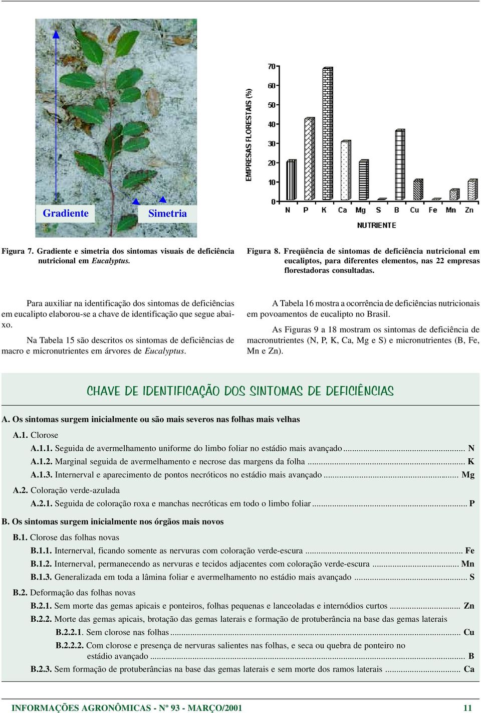 Para auxiliar na identificação dos sintomas de deficiências em eucalipto elaborou-se a chave de identificação que segue abaixo.