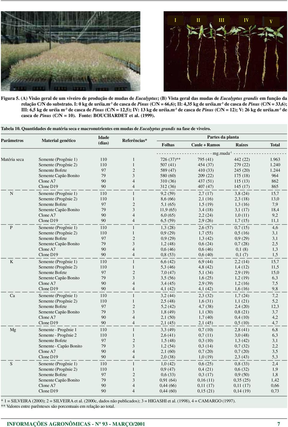 m -3 de casca de Pinus (C/N = 12); V: 26 kg de uréia.m -3 de casca de Pinus (C/N = 10). Fonte: OUCHARDET et al. (1999). Tabela 10.