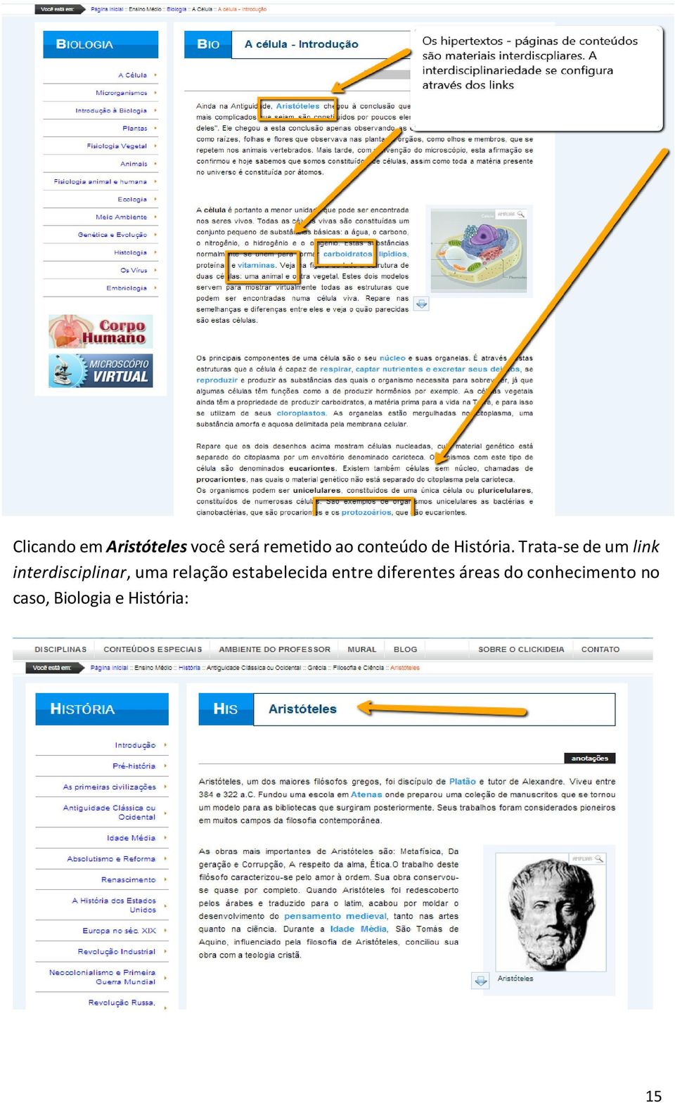 Trata-se de um link interdisciplinar, uma relação