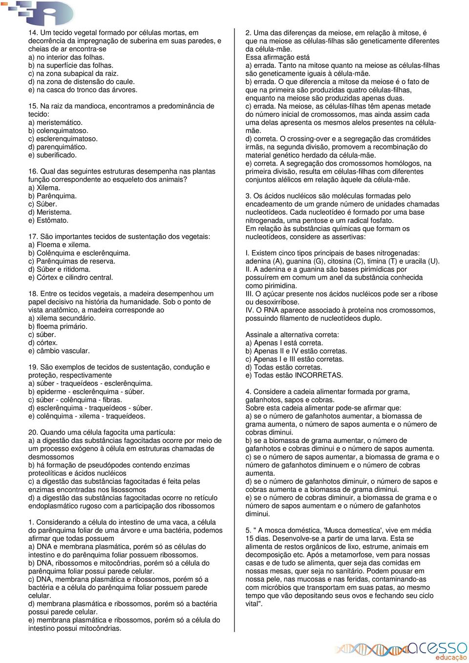 c) esclerenquimatoso. d) parenquimático. e) suberificado. 16. Qual das seguintes estruturas desempenha nas plantas função correspondente ao esqueleto dos animais? a) Xilema. b) Parênquima. c) Súber.