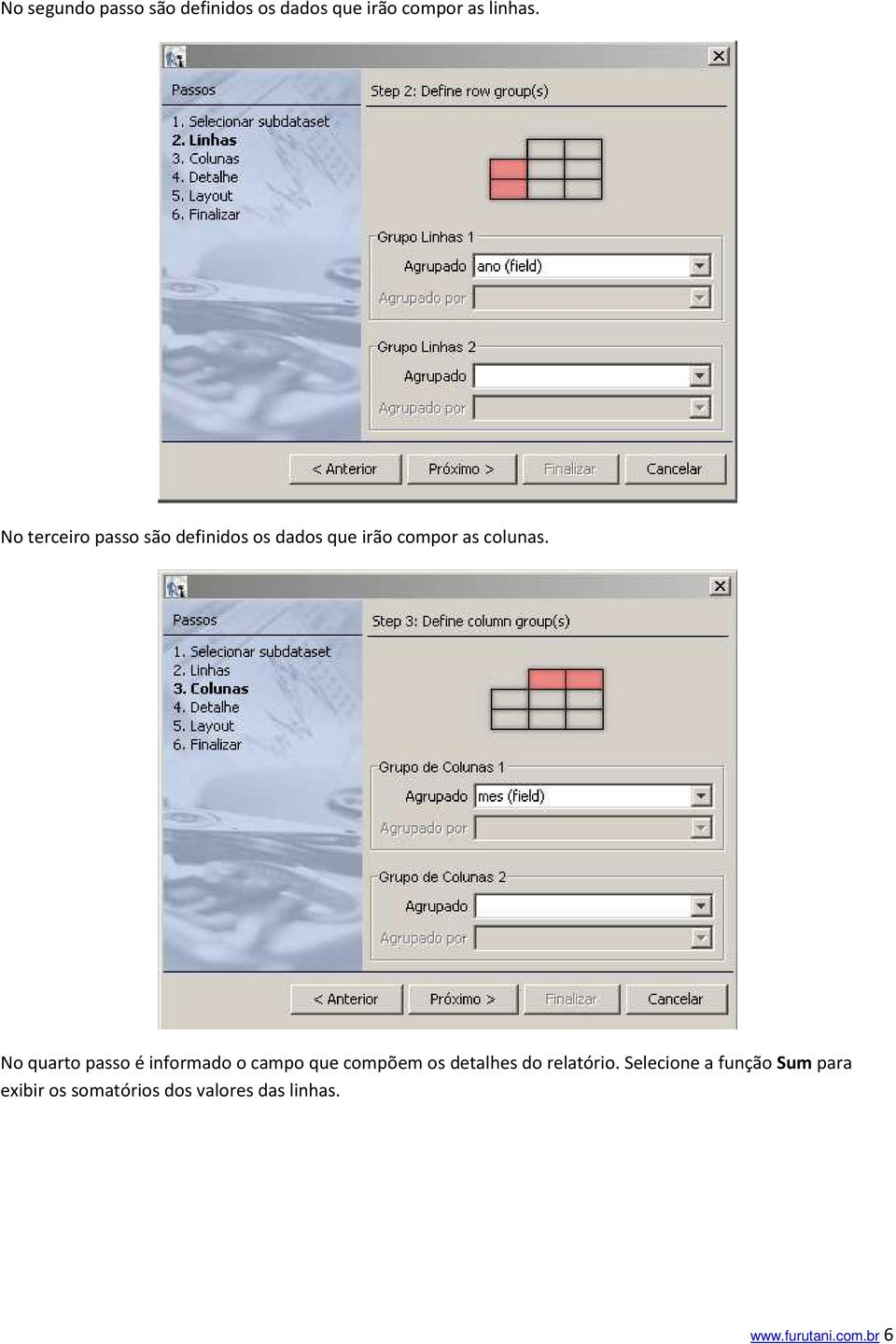 No quarto passo é informado o campo que compõem os detalhes do relatório.