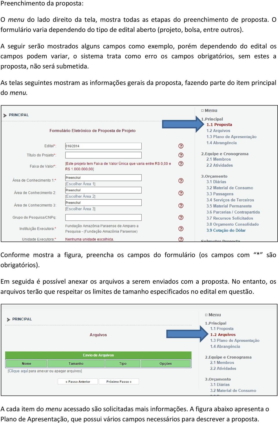 As telas seguintes mostram as informações gerais da proposta, fazendo parte do item principal do menu. Conforme mostra a figura, preencha os campos do formulário (os campos com * são obrigatórios).