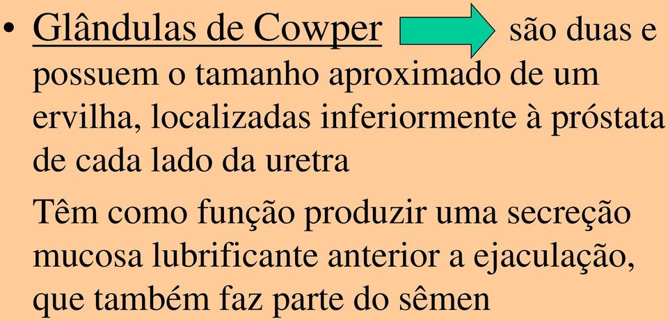 Glândulas de Cowper Têm como função produzir uma secreção