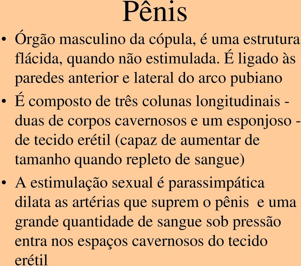 cavernosos e um esponjoso - de tecido erétil (capaz de aumentar de tamanho quando repleto de sangue) A estimulação