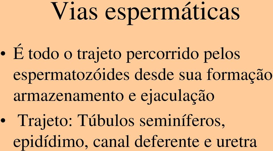 formação armazenamento e ejaculação Trajeto: