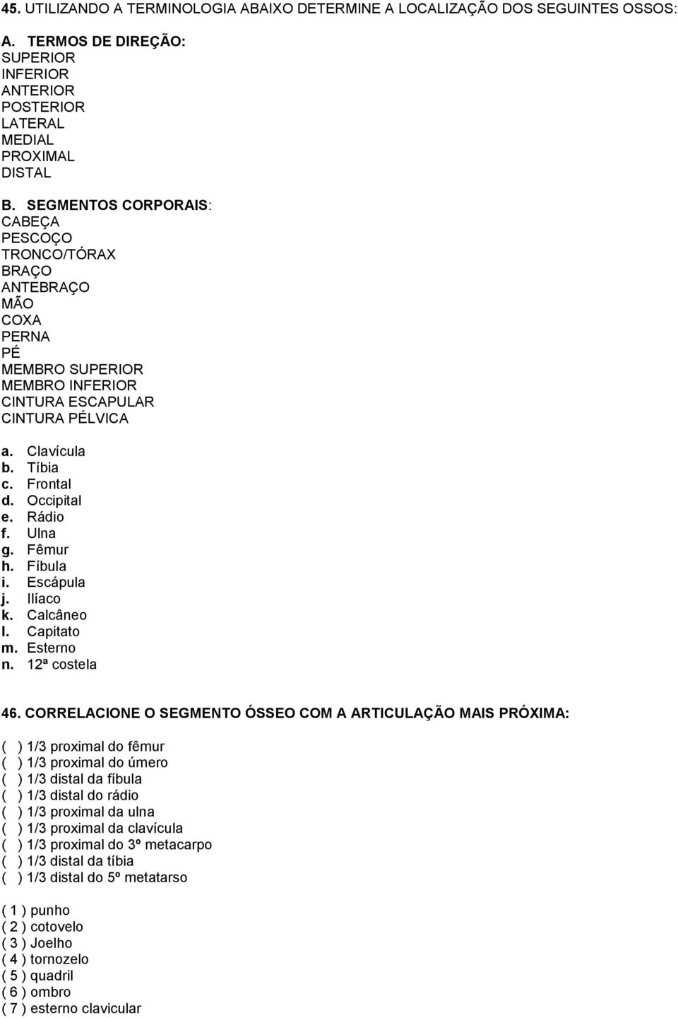 Rádio f. Ulna g. Fêmur h. Fíbula i. Escápula j. Ilíaco k. Calcâneo l. Capitato m. Esterno n. 12ª costela 46.