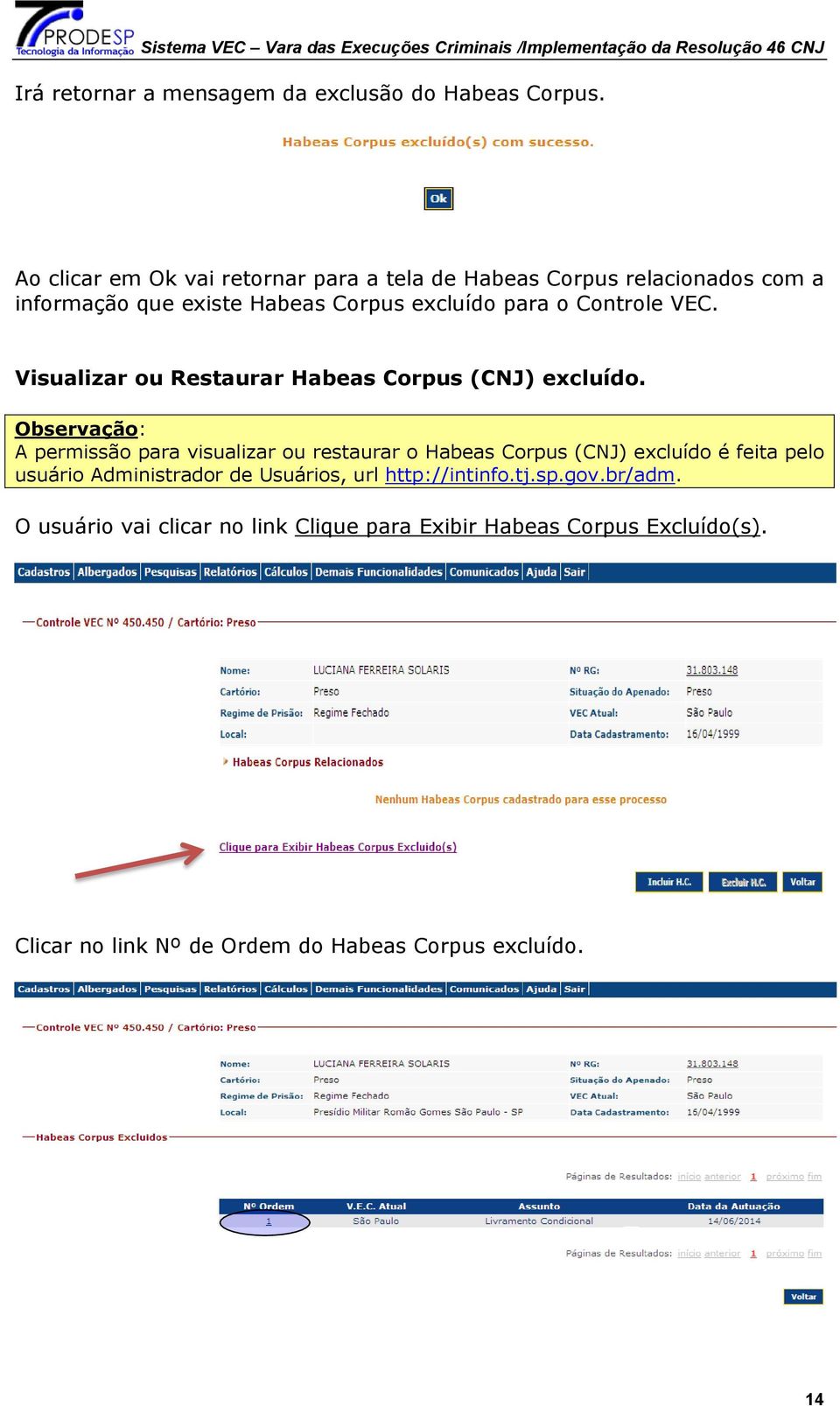 VEC. Visualizar ou Restaurar Habeas Corpus (CNJ) excluído.