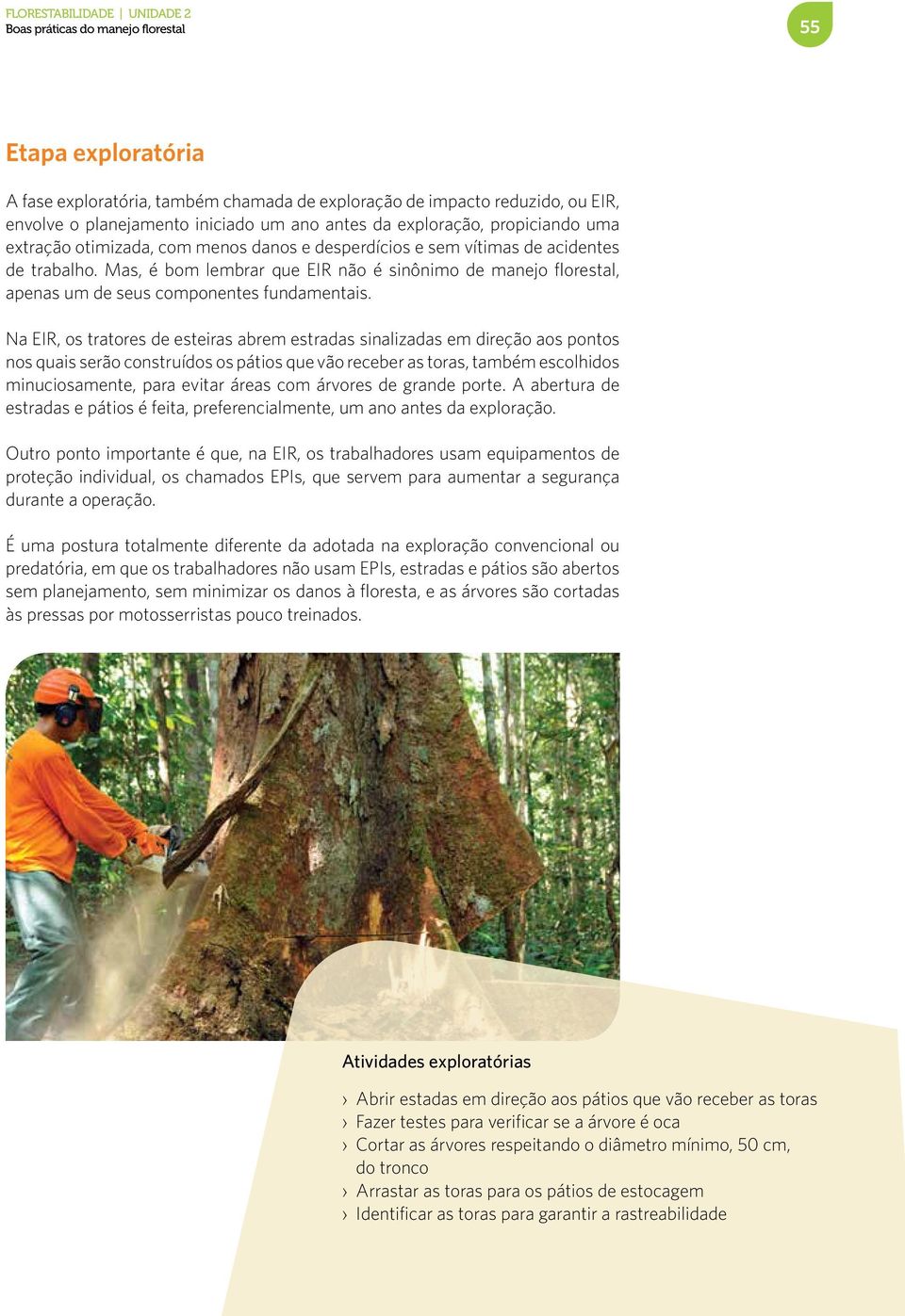 Mas, é bom lembrar que EIR não é sinônimo de manejo florestal, apenas um de seus componentes fundamentais.