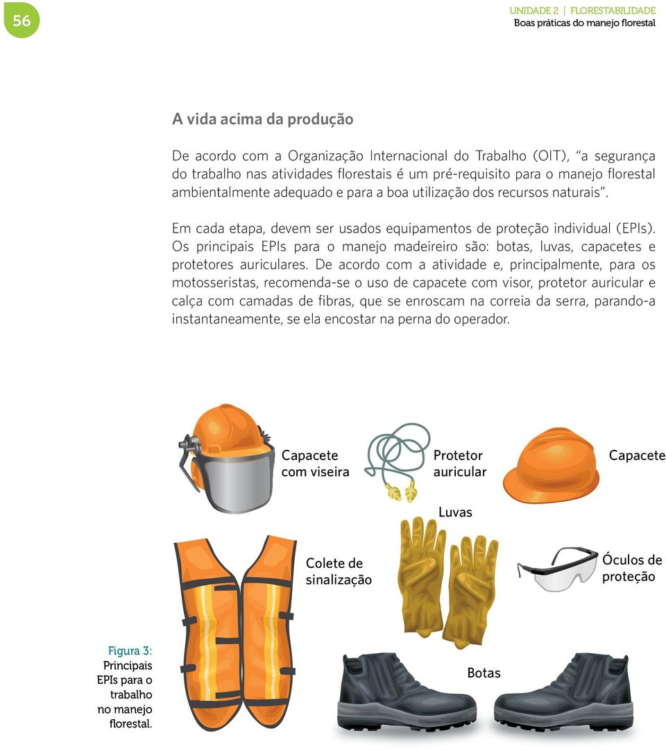 Os principais EPIs para o manejo madeireiro são: botas, luvas, capacetes e protetores auriculares.