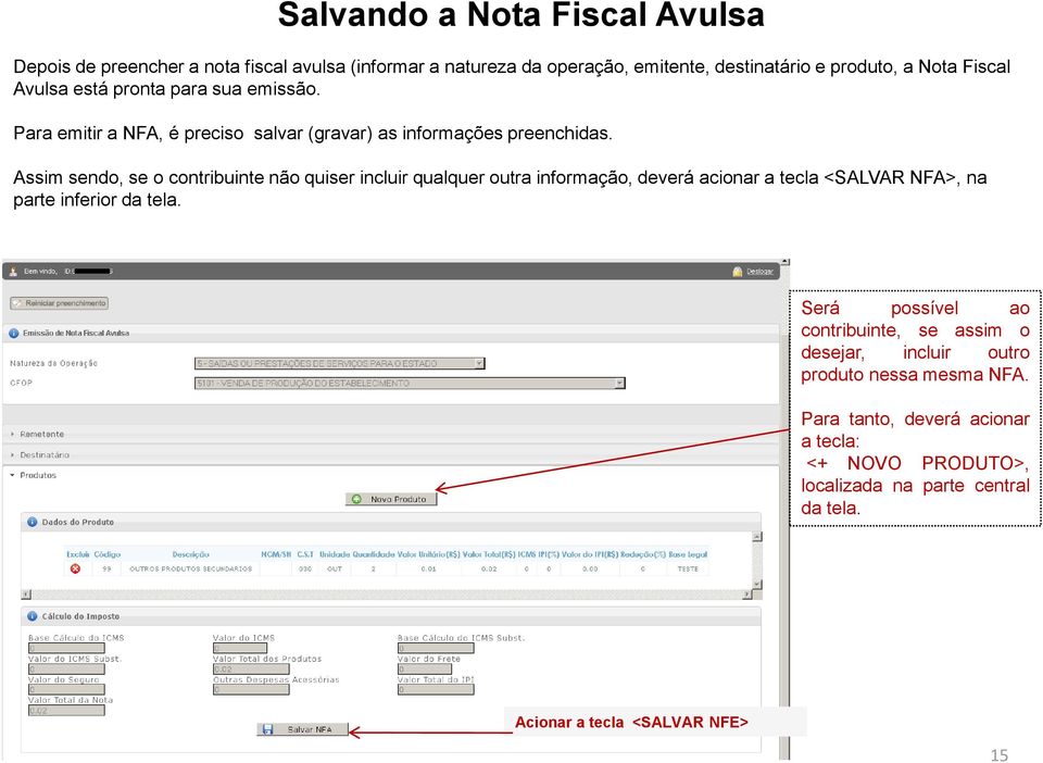 Assim sendo, se o contribuinte não quiser incluir qualquer outra informação, deverá acionar a tecla <SALVAR NFA>, na parte inferior da tela.
