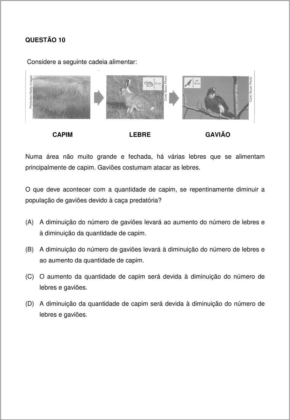 (A) A diminuição do número de gaviões levará ao aumento do número de lebres e à diminuição da quantidade de capim.