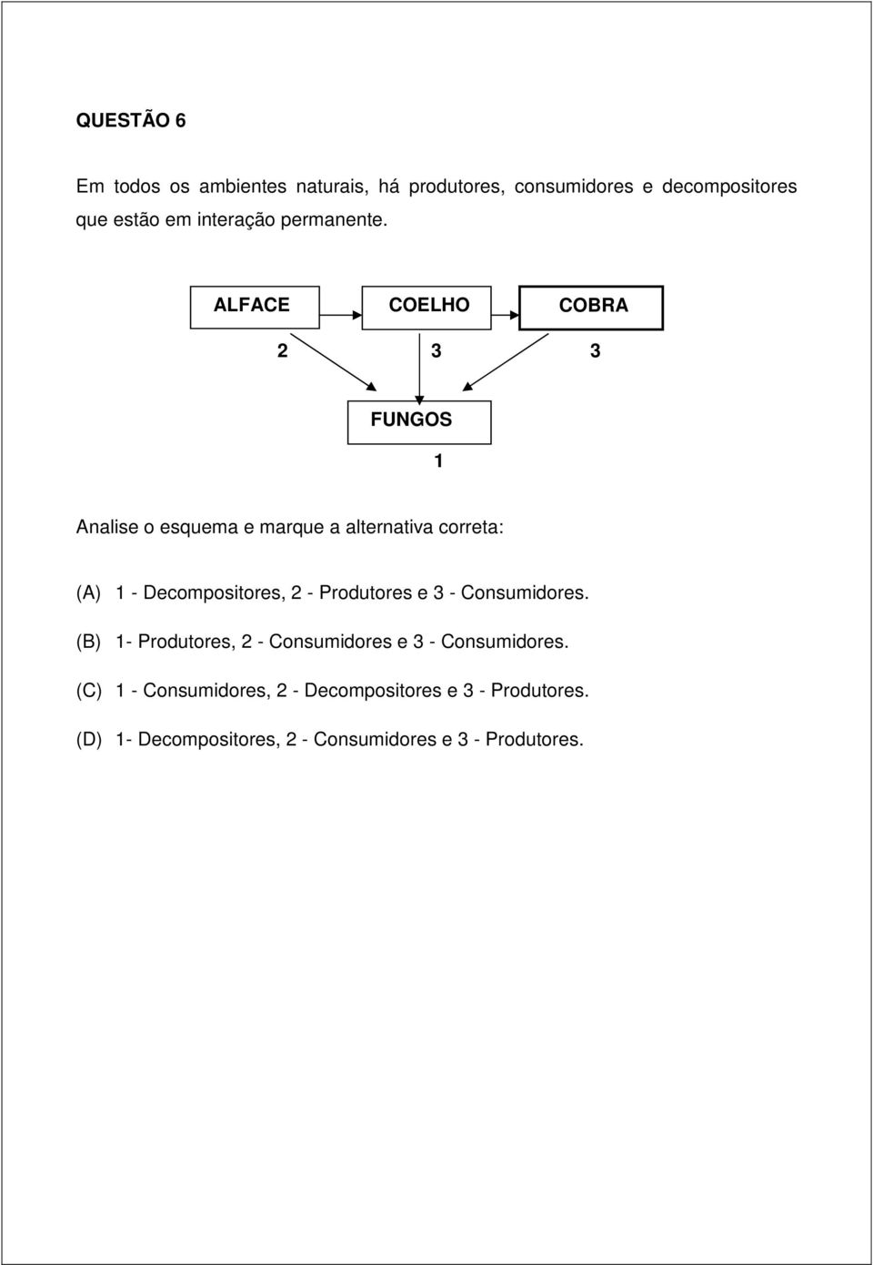 ALFACE COELHO COBRA 2 3 3 FUNGOS 1 Analise o esquema e marque a alternativa correta: (A) 1 - Decompositores,