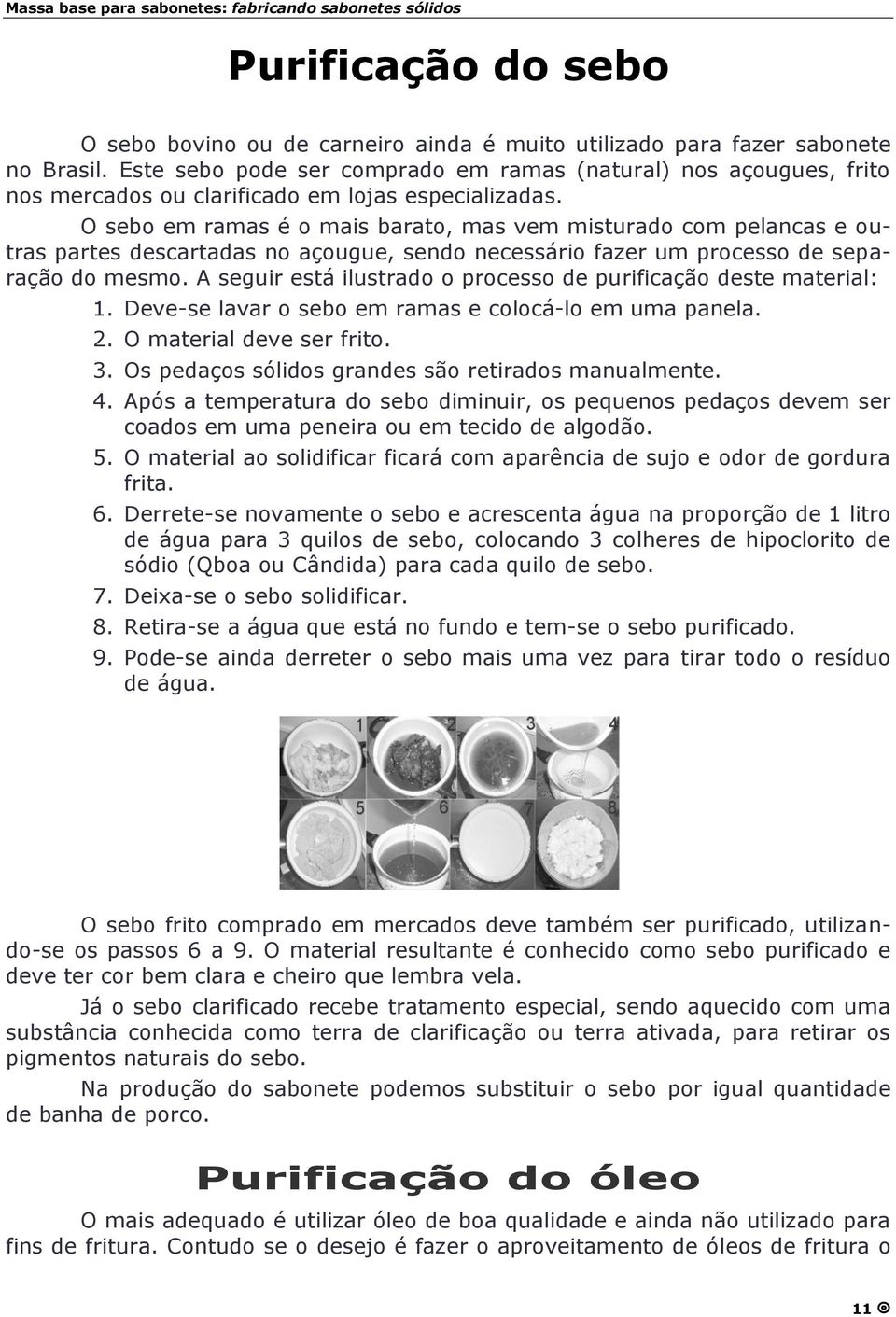 O sebo em ramas é o mais barato, mas vem misturado com pelancas e outras partes descartadas no açougue, sendo necessário fazer um processo de separaçã o do mesmo.