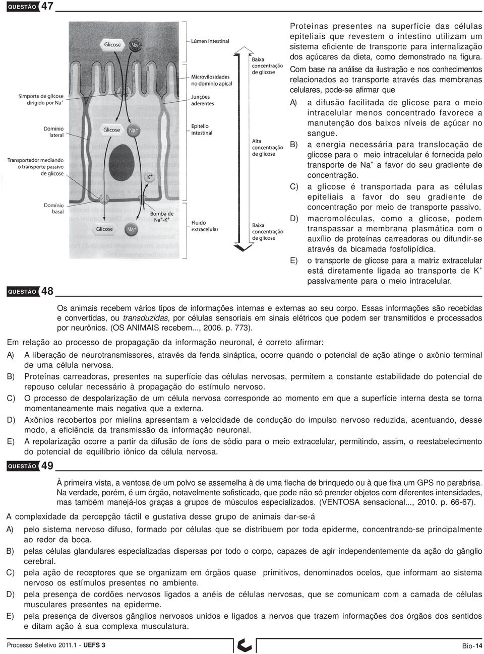 Com base na análise da ilustração e nos conhecimentos relacionados ao transporte através das membranas celulares, pode-se afirmar que A) a difusão facilitada de glicose para o meio intracelular menos